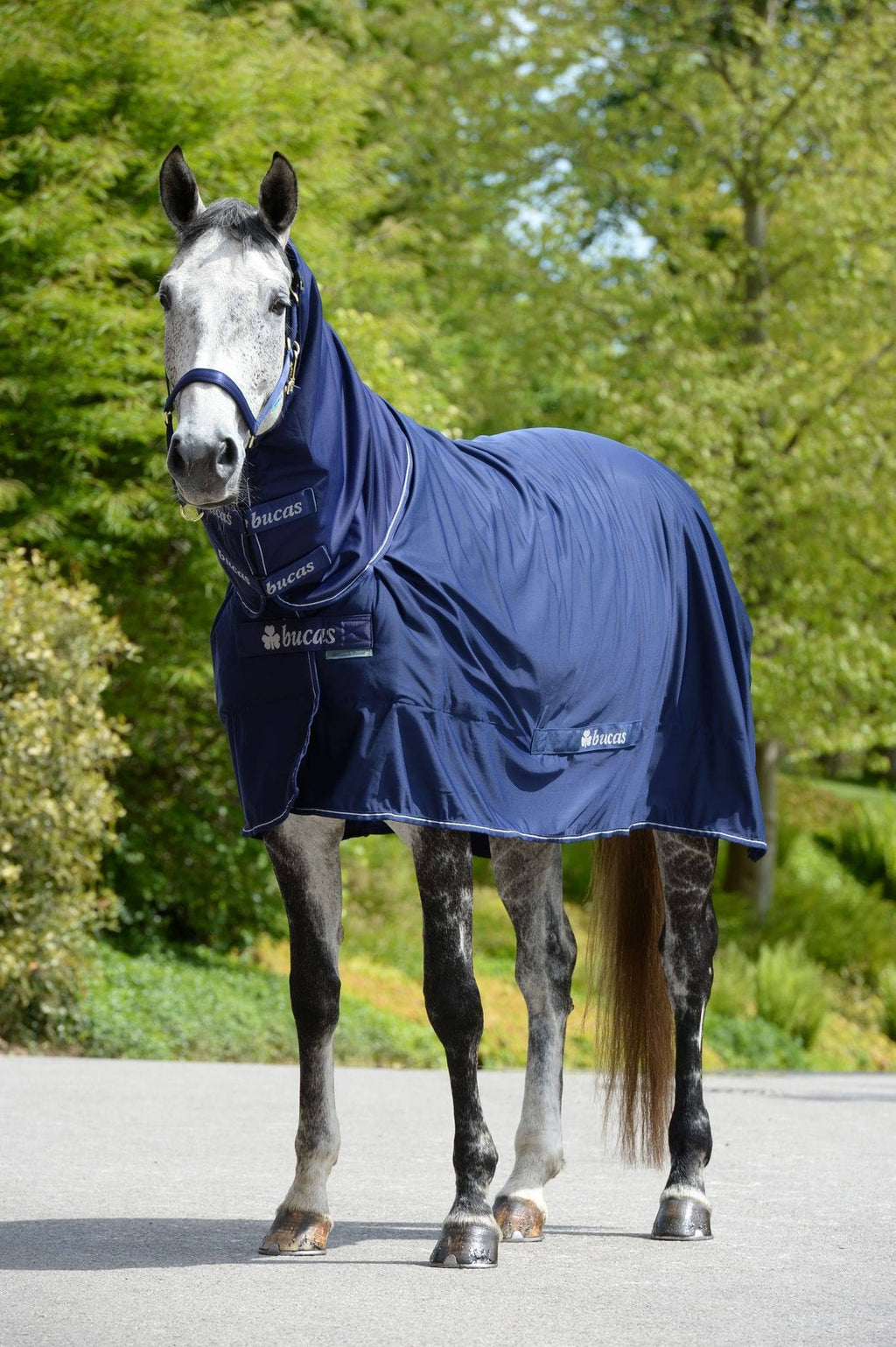 Navy Full Neck 168 Horse Rug P712447