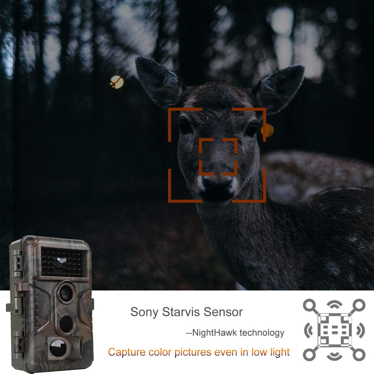 100ft Night Vision 24MP Waterproof Trail Camera H4751