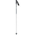Ski Poles B4896