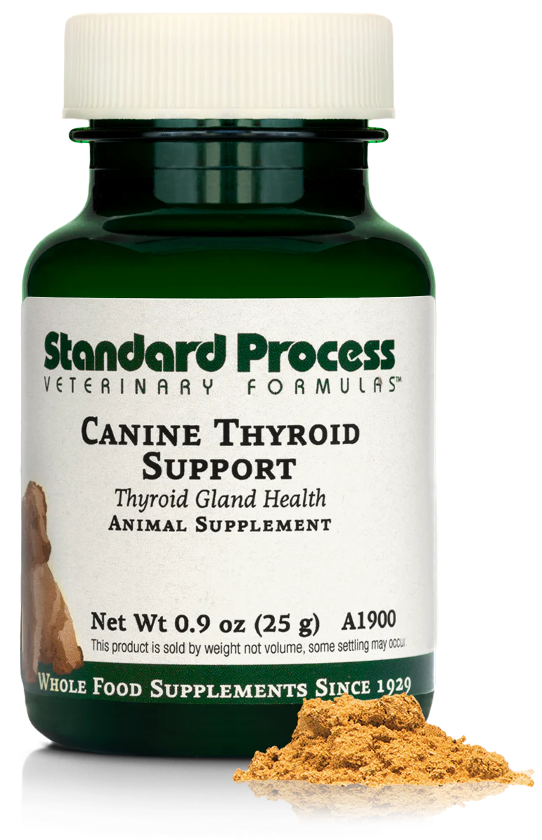 0.9 oz Canine Thyroid Support B4946