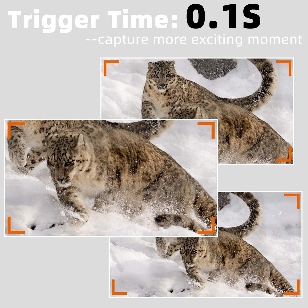 100ft Night Vision 24MP Waterproof Trail Camera H4751