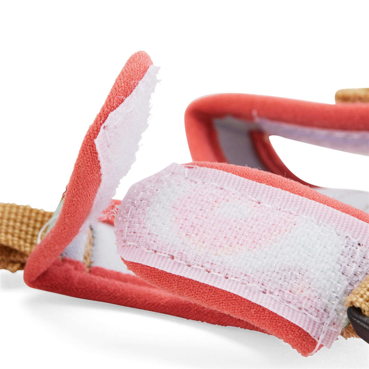 Ferret Harness and Leash Z56029