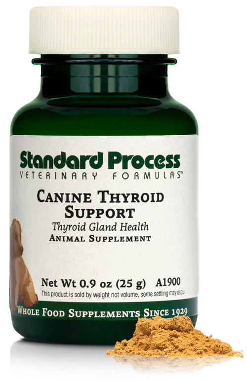 0.9 oz Canine Thyroid Support B4946