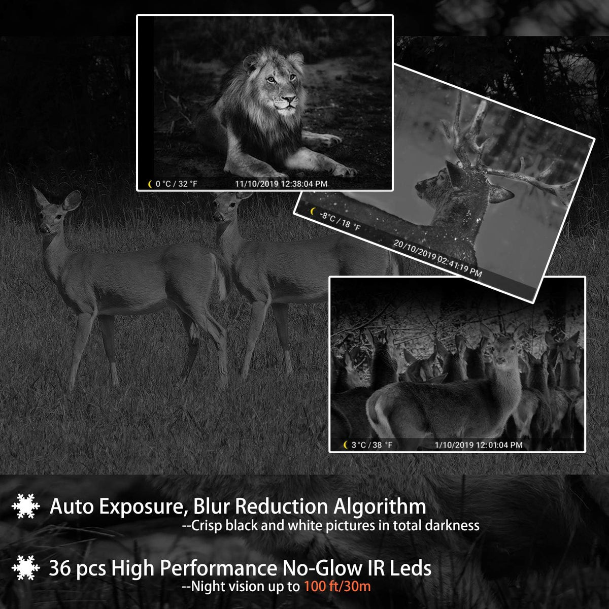 100ft Night Vision 24MP Waterproof Trail Camera H4751